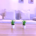 Tropicalidays Cristianos Angel 洛斯克里斯蒂亚诺斯